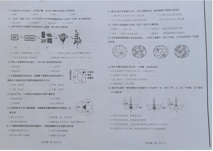 山东省济南市2022-2023学年上学期七年级期中生物试题 （图片版无答案）