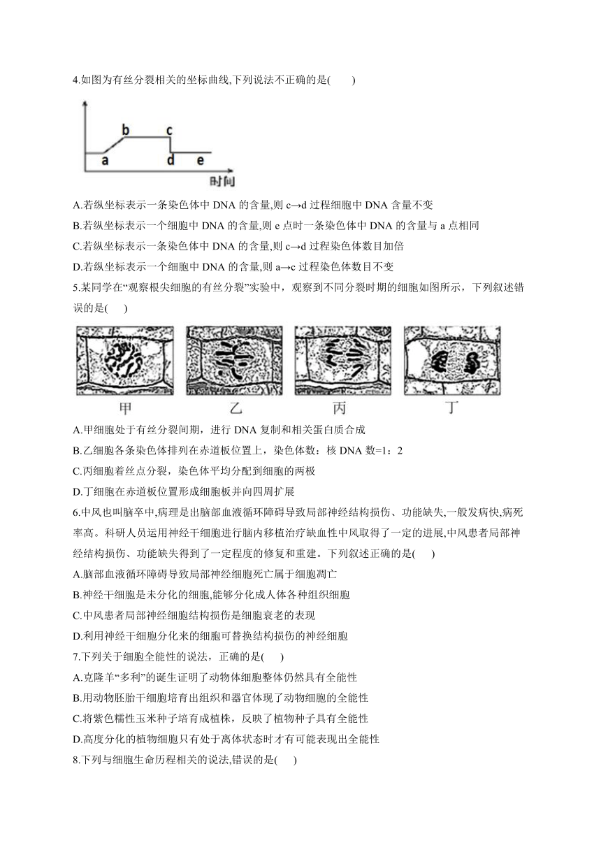 第6章 细胞的生命历程 测试题——2022-2023学年高一生物学人教版（2019）必修一（word版含答案带解析）