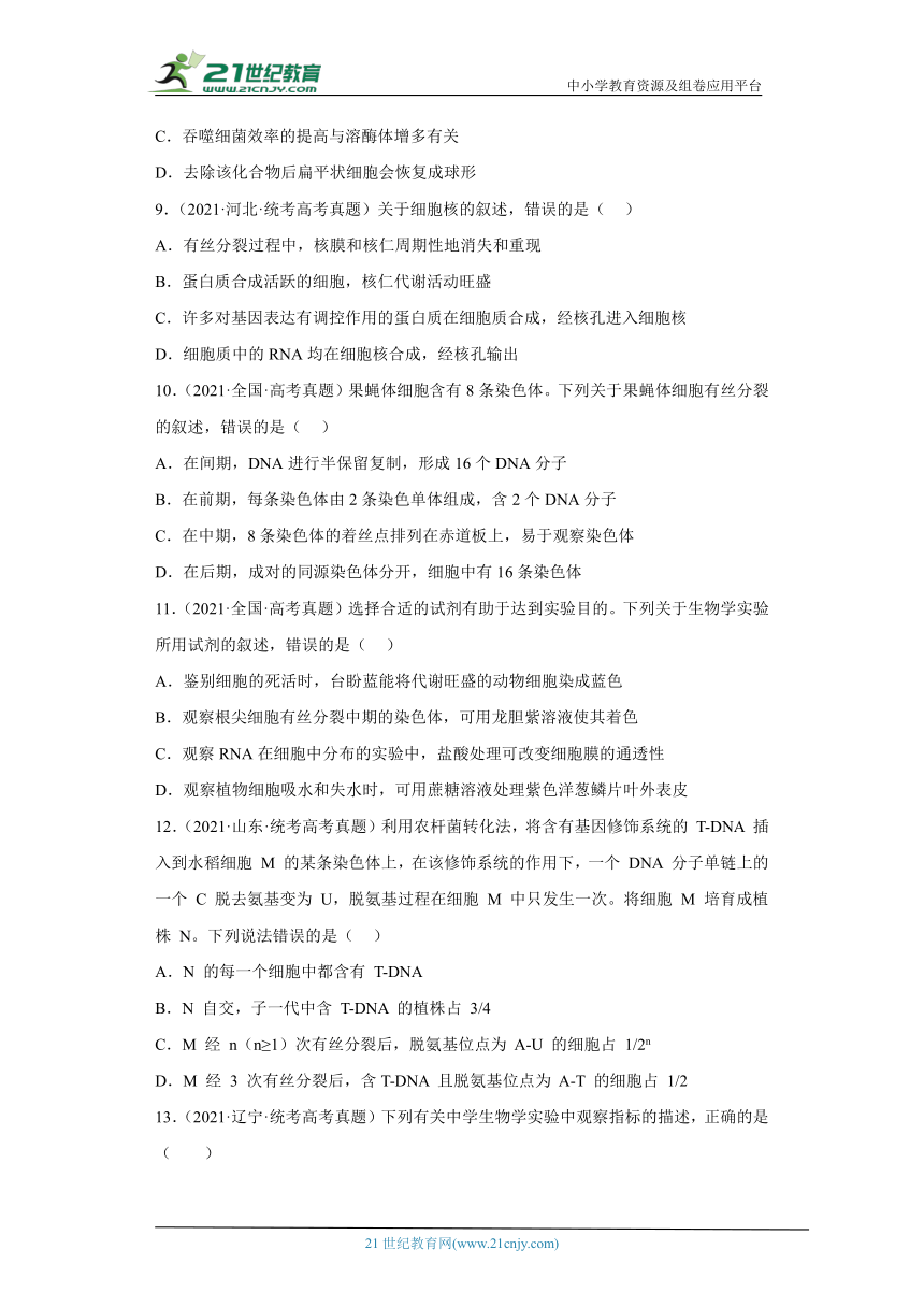 五年2018-2022高考生物真题按知识点分类汇编26-细胞周期与有丝分裂（含解析）