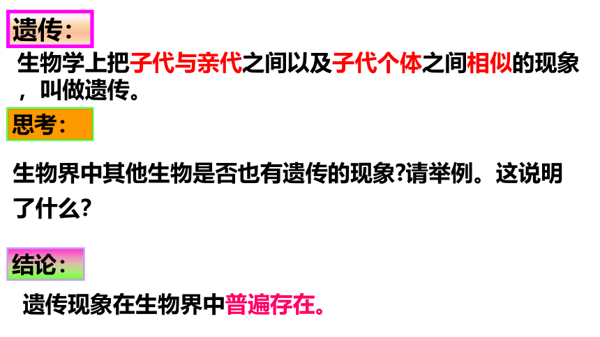 2021--2022学年济南版生物八年级上册 4.4.1遗传的物质基础课件（共25张PPT ）