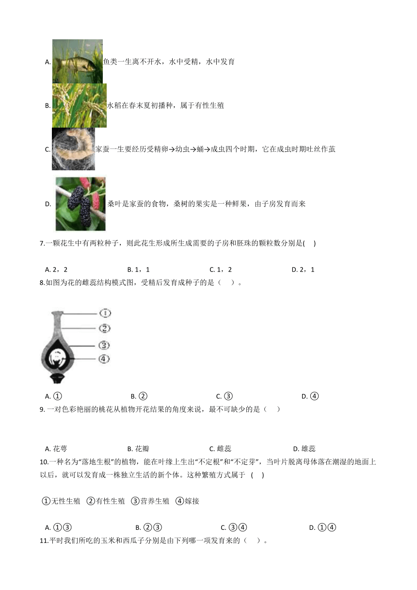 7.1 绿色开花植物的有性生殖和发育 同步练习(含解析)