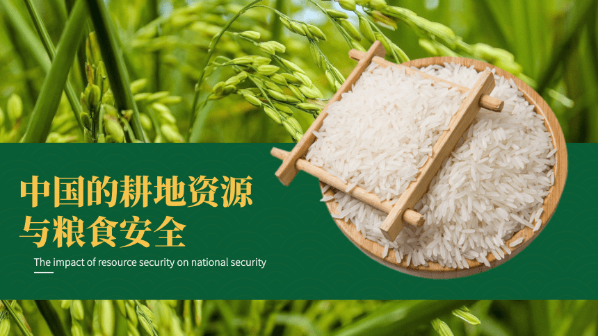 2.3 中国的耕地资源与粮食安全 课件（30张）