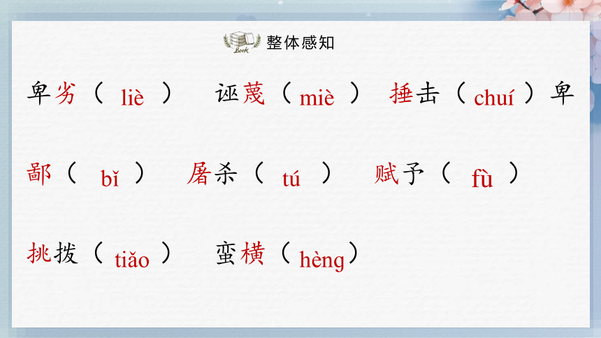 13最后一次讲演（第一课时）（课件）-2022-2023学年八年级语文下册同步精品课件