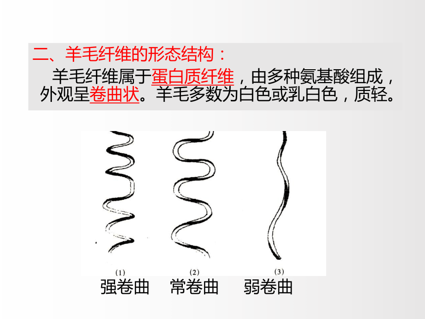 2.2毛和丝 课件(共61张PPT)-《服装材料》同步教学（中国纺织出版社）