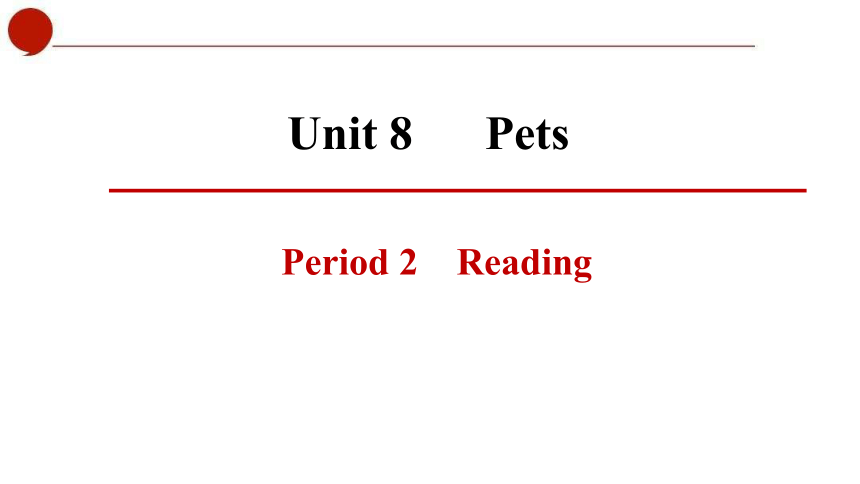 初中英语牛津译林版七年级下册同步课件：Unit 8 Pets  Period 2 Reading (共44张PPT)