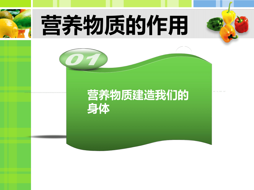 3.5.2  营养物质的作用  课件(共36张PPT)2022-2023学年苏科版生物七年级上册