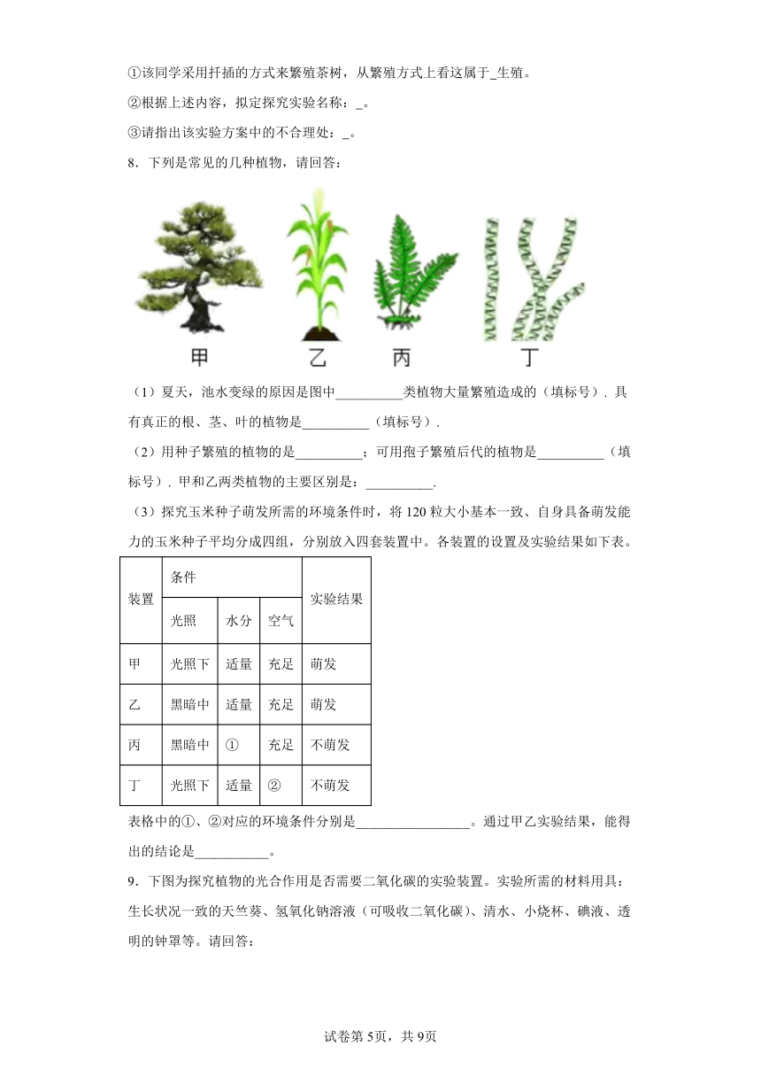 第三单元第一章 生物圈中有哪些绿色植物 实验题 专题训练 七年级生物上册 （人教版） （含答案）