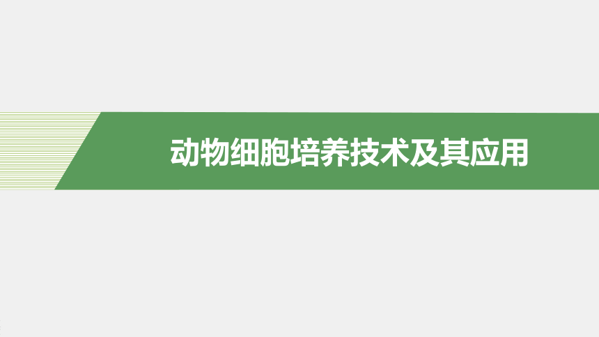 高中生物苏教版（2019）选择性必修3 生物技术与工程 第二章 第三节　第2课时　动物细胞培养技术及其应用（60张PPT）