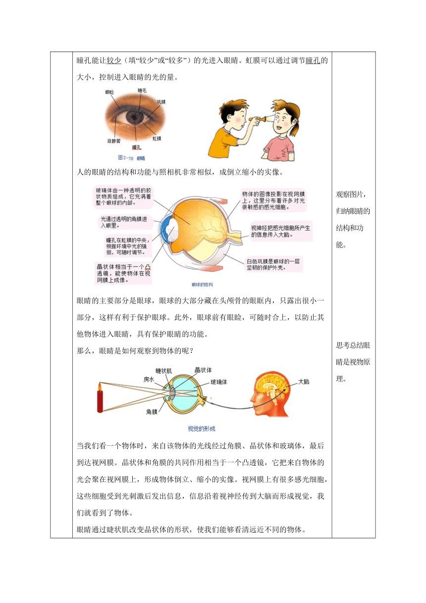 七年级科学下册（浙教版）2.6透镜和视觉（第2课时）（教学设计 表格式）