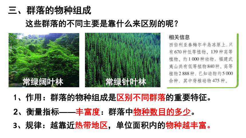 4.3 群落的结构 课件（43张ppt） 2022——2023学年高二上学期生物人教版（新课程标准）必修3