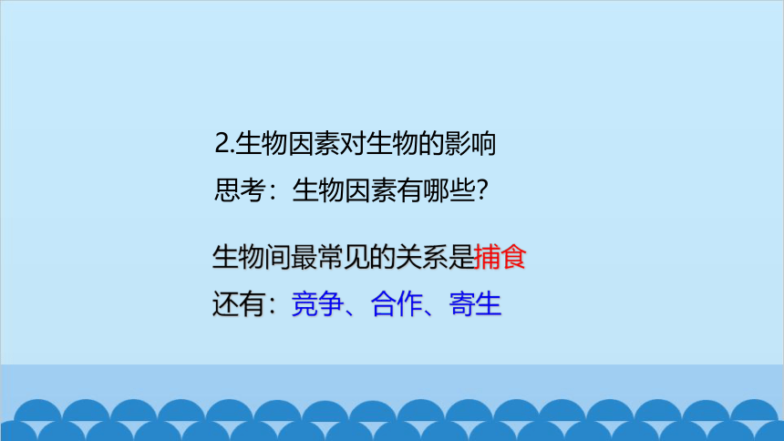 人教版生物七年级上册 第一单元第二章第一节 生物与环境的关系课件(共21张PPT)