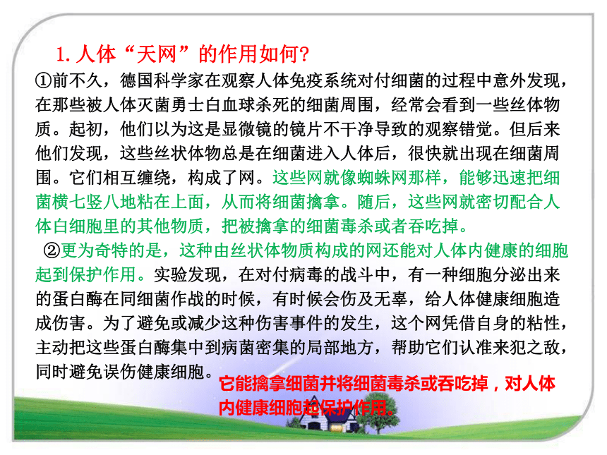 初中语文七年级下册期末复习说明文阅读综合练习 课件（共22张PPT）
