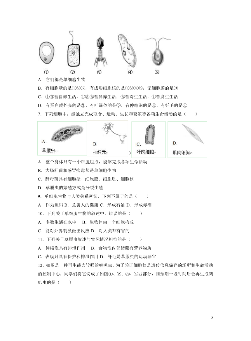 人教版第2单元第2章第4节《单细胞生物》基础练习（word版 含答案）