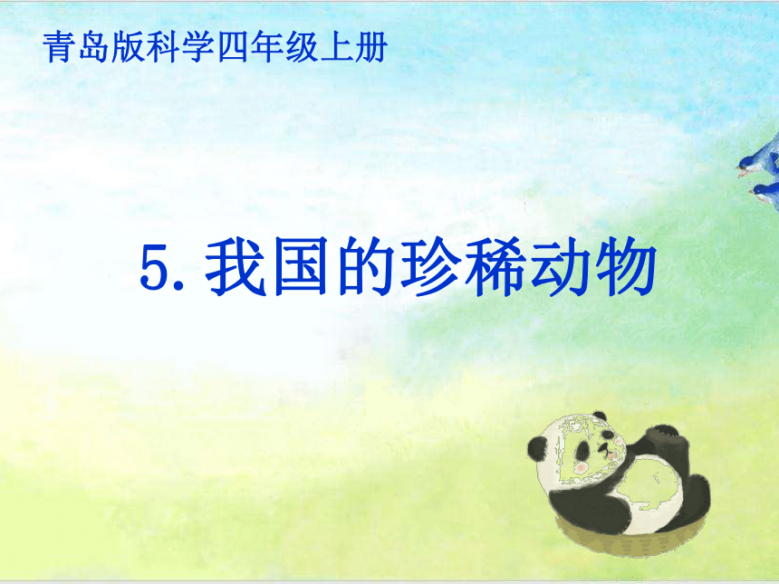 青岛版四年级上册科学 5 我国的珍稀动物 课件（16张ppt）