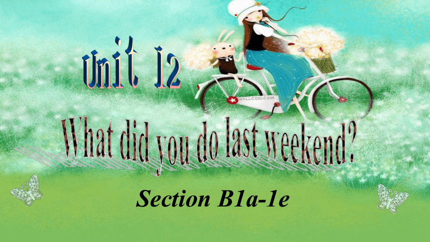 Unit 12 What did you do last weekend?Section B 1a-1e课件(共19张PPT)2022-2023学年人教版英语七年级下册