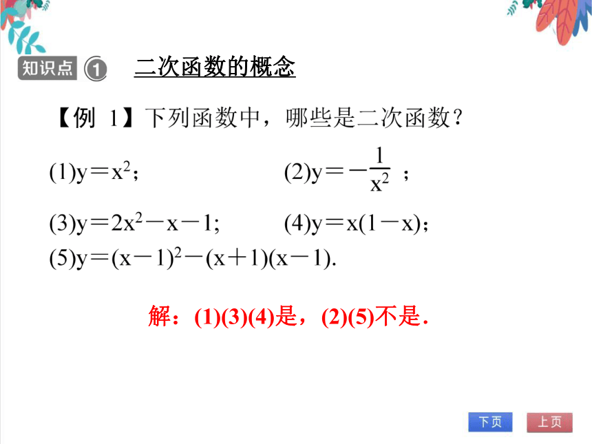 【人教版】数学九年级全一册 22.1.1 二次函数的相关概念 随堂练习（课件版）