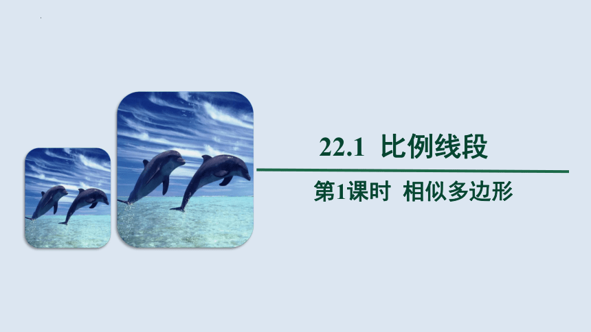 2022—2023学年沪科版数学九年级上册22.1 比例线段 第1课时 课件（共18张PPT）