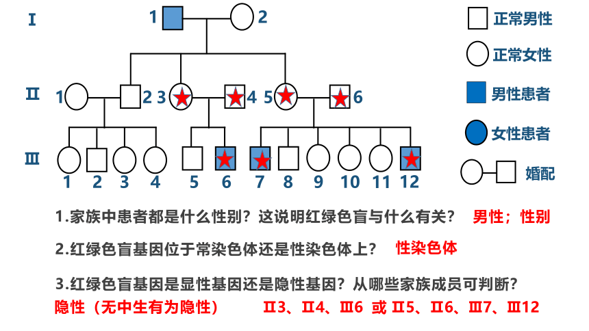 2020-2021学年高一下学期生物人教版必修2  2.3伴性遗传课件（37张PPT）