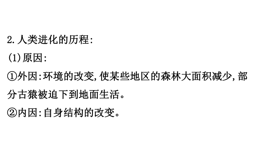 2021-2022学年人教版生物中考复习之人的由来