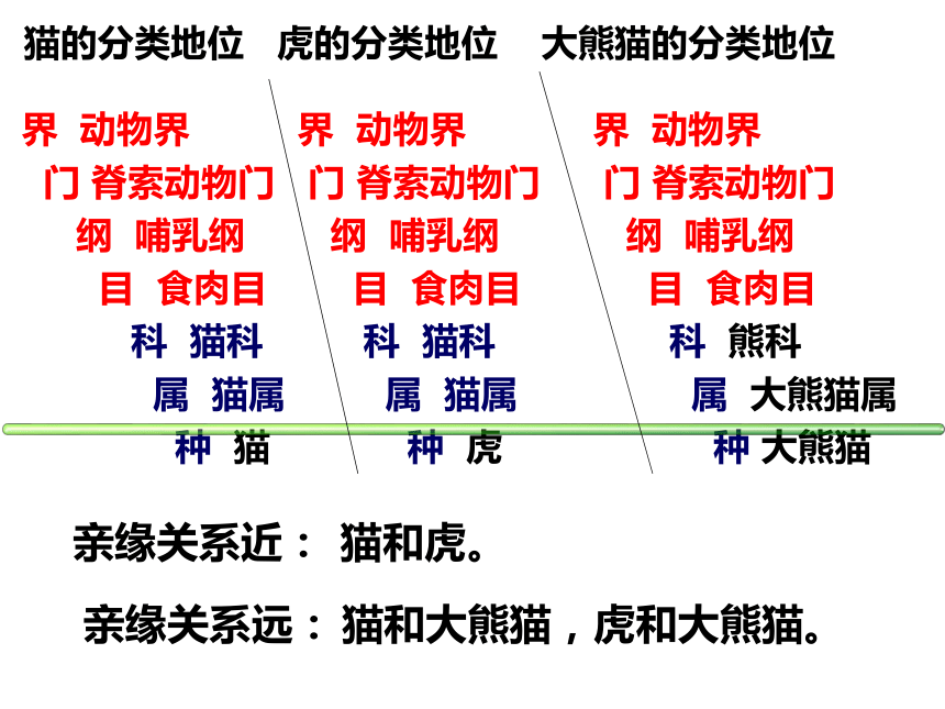 1.5.2练习对生物进行鉴别课件(共17张PPT)2021--2022学年冀少版七年级上册生物