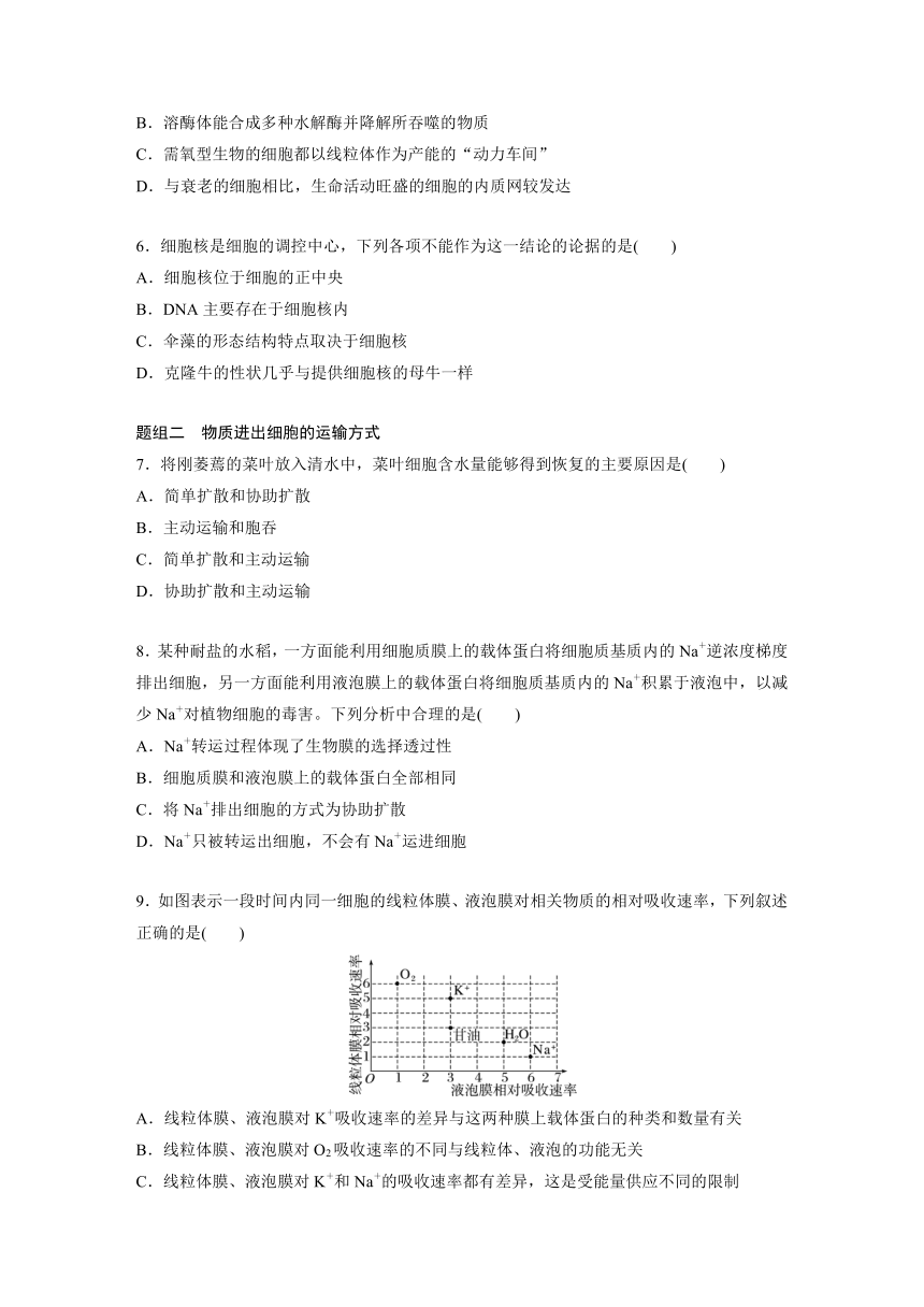 2022-2023学年苏教版2019高中生物必修1 第二章　细胞的结构和生命活动  重点突破练(二)（word版含解析）