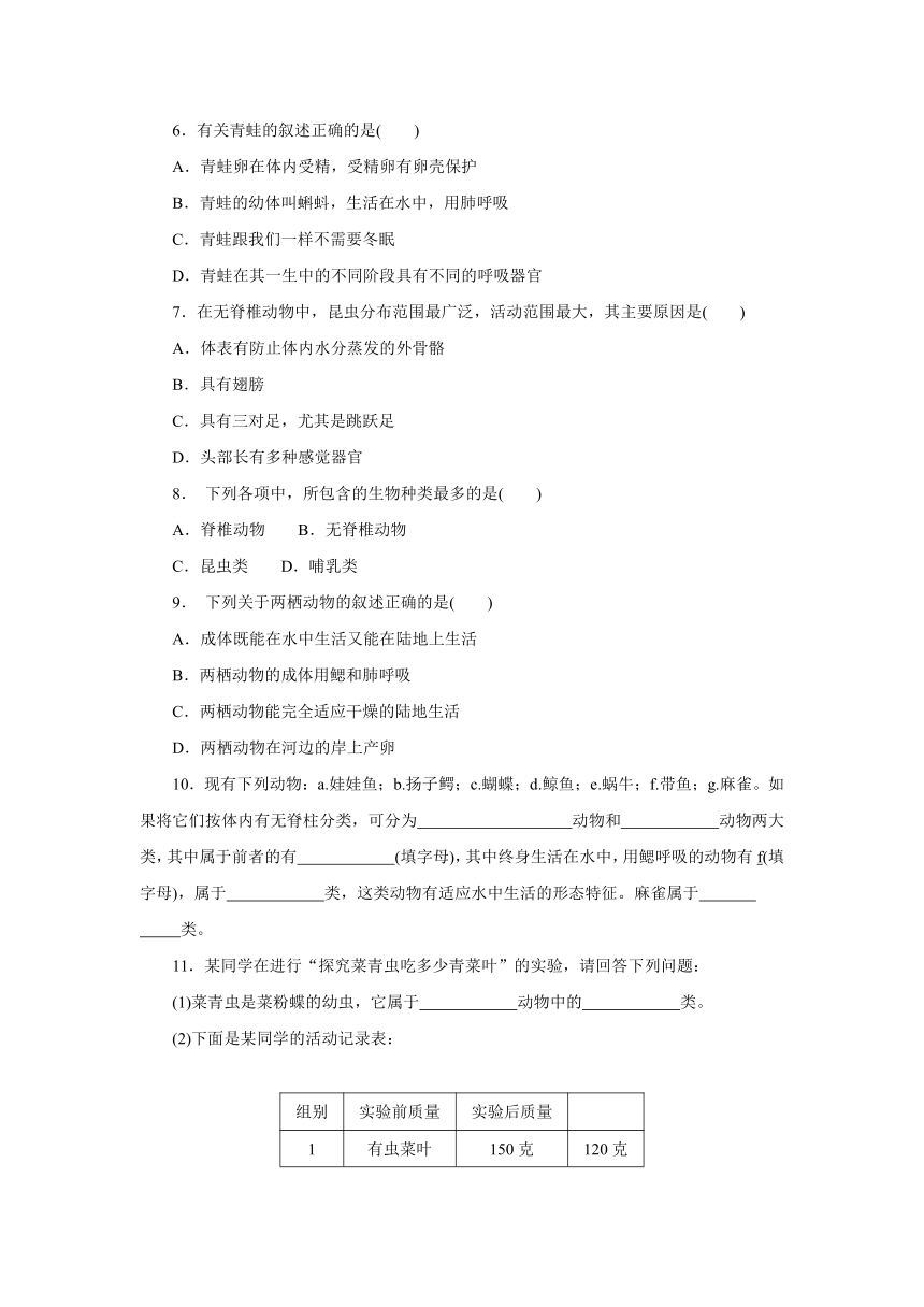 第2章 生物的主要类群 章末复习训练  （含答案）