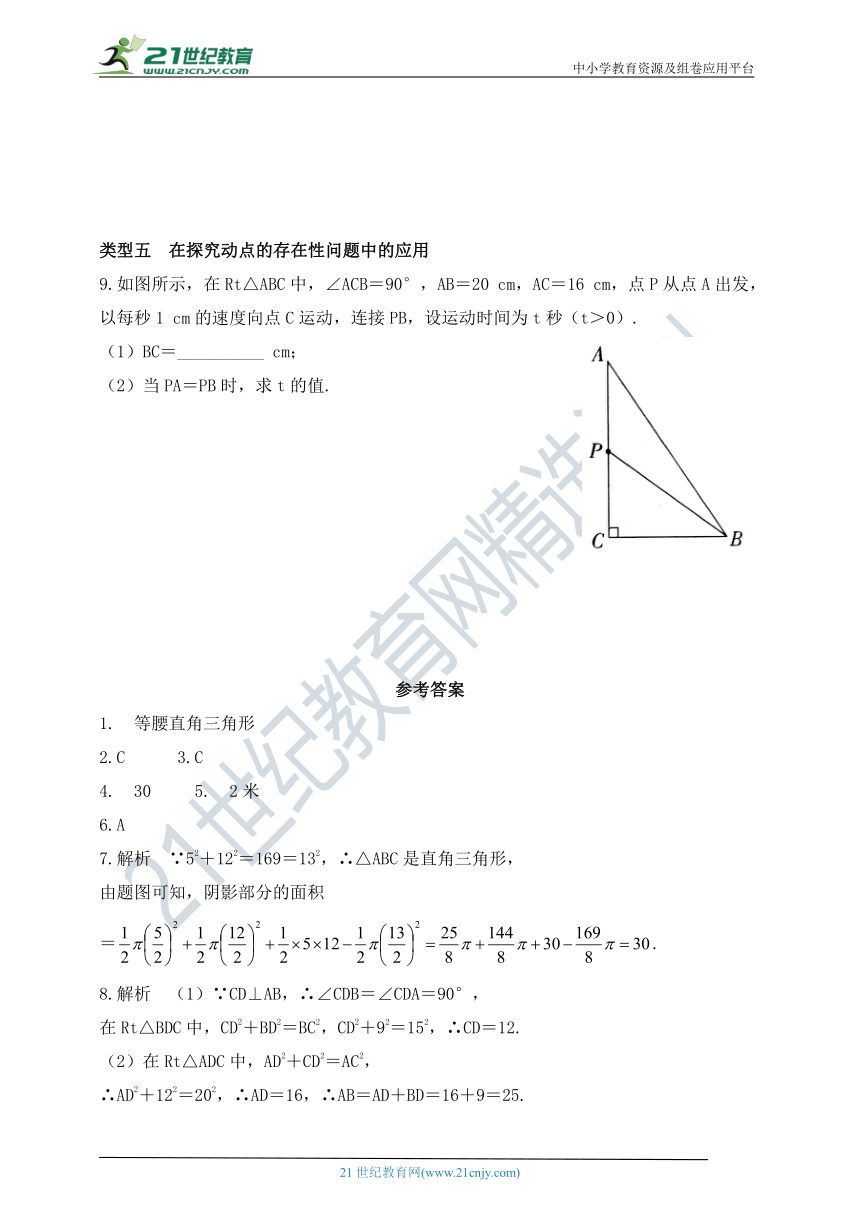 第三章 勾股定理专项训练 勾股定理及直角三角形的判别条件同步练习题 （含答案）