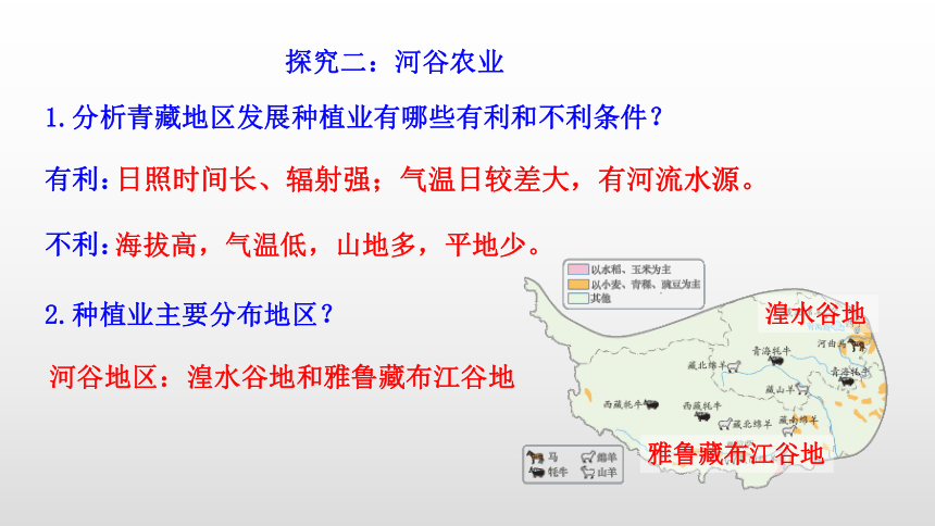 9.1自然特征与农业（第2课时高寒牧区和河谷农业区）课件-2021-2022学年人教版地理八年级下册（共22张PPT）