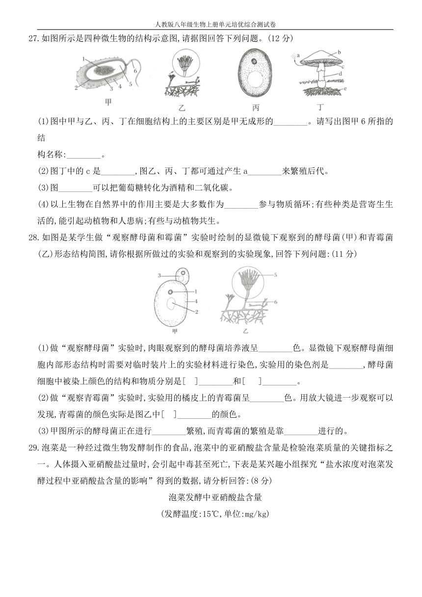 人教版八年级上册生物第五单元  第四章 细菌和真菌练习（word版含部分解析）