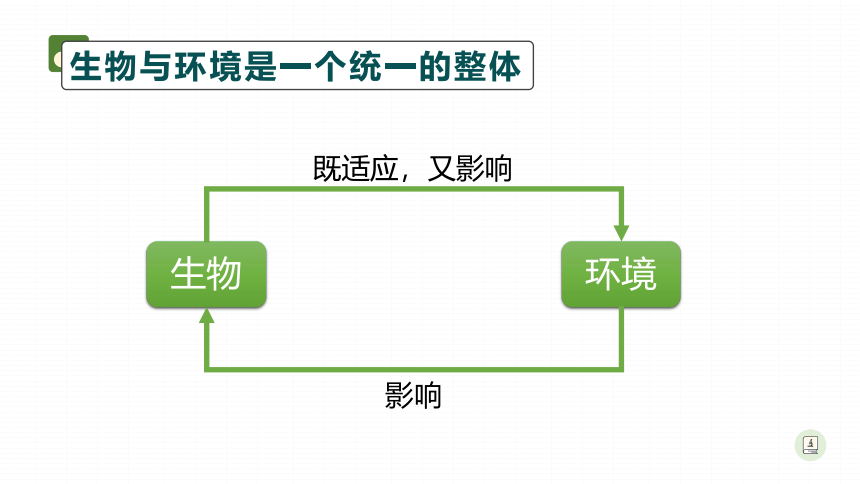 人教版七年级上册生物1.2.2生物与环境组成生态系统课件（21张PTT）