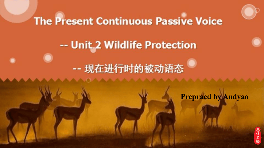 人教版（2019）必修第二册Unit 2 Wildlife protection Discovering Useful Structures语法课件(共29张PPT)