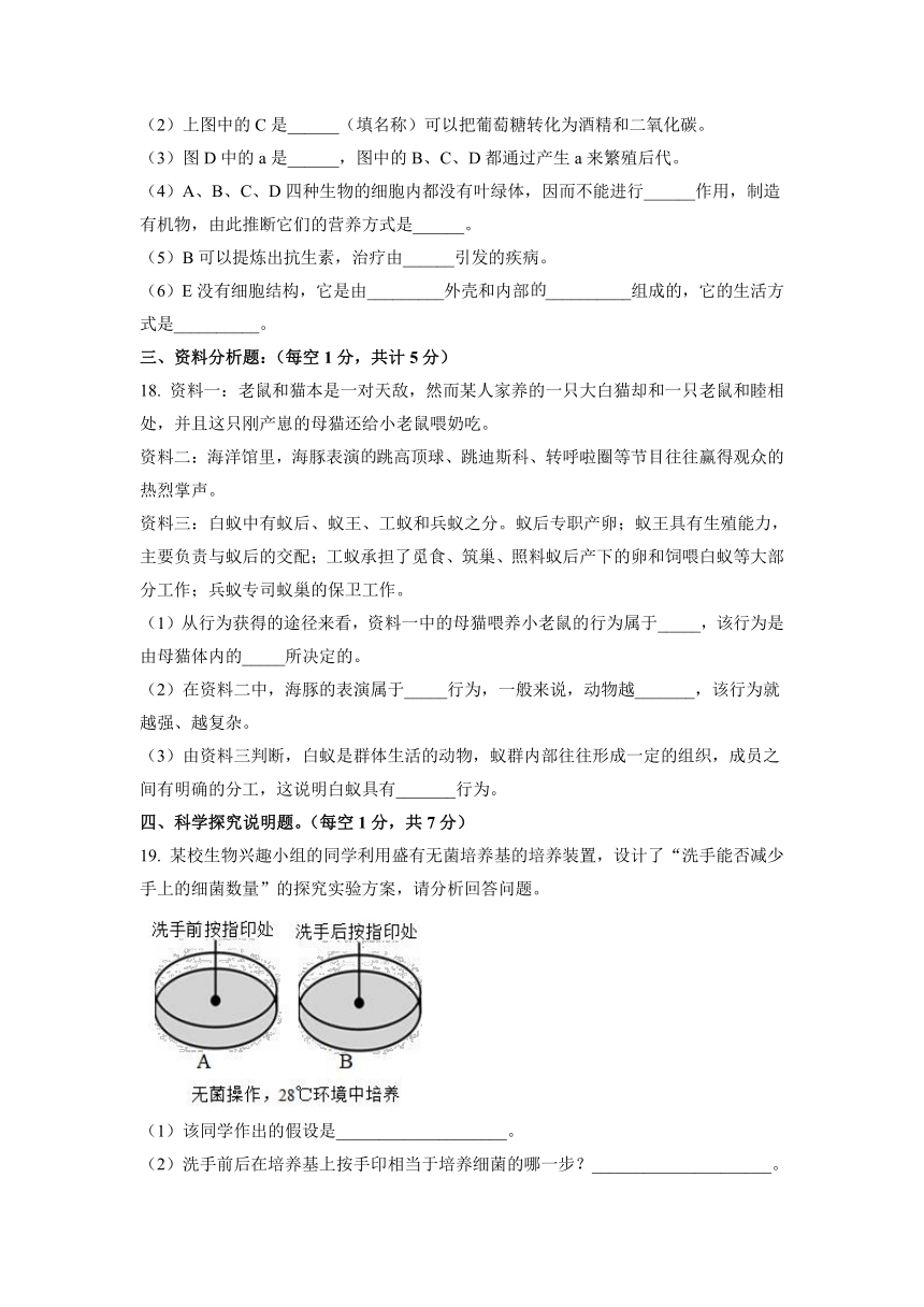 湖北襄阳谷城县石花镇第三中学2022-2023学年八年级上学期生物期中考试题（含解析）