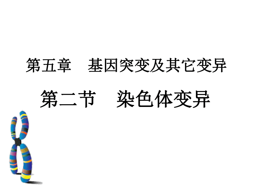 2020-2021学年高一下学期生物人教版必修二5.2染色体变异课件