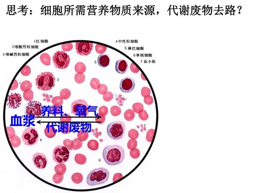 2021-2022学年高二上学期生物人教版必修三1.1细胞生活的环境课件 （20张ppt）