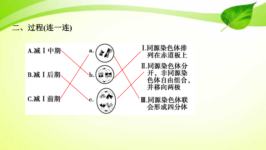 高考生物专题课件11：遗传的细胞基础(共65张PPT）