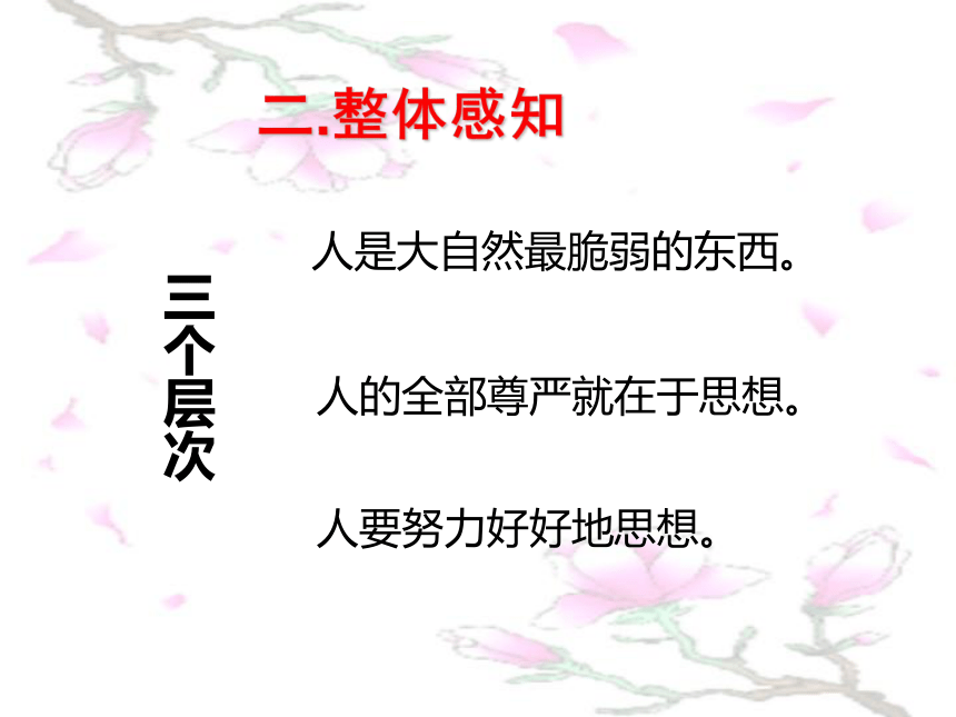 10.2《人是一根能思想的苇》课件（21张PPT）2020-2021学年高中语文人教版必修4第三单元