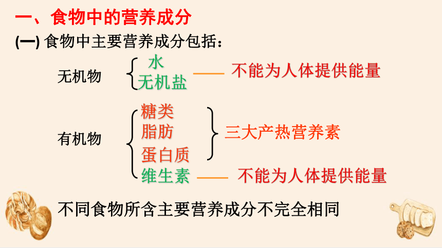 4.8.1 人类的食物课件(共29张PPT)北师大版生物七年级下册