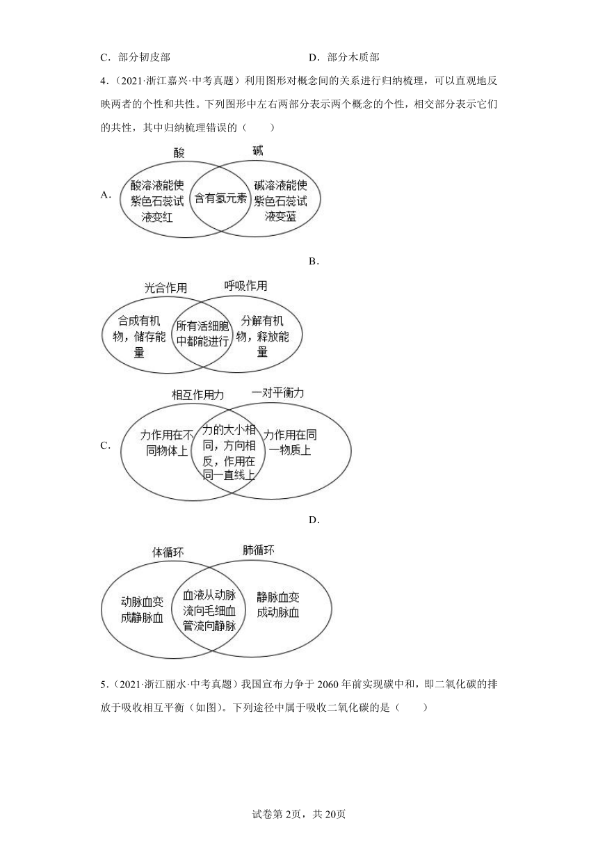 06绿色植物的新陈代谢-浙江省各地区2020-2022中考科学真题汇编（含解析）