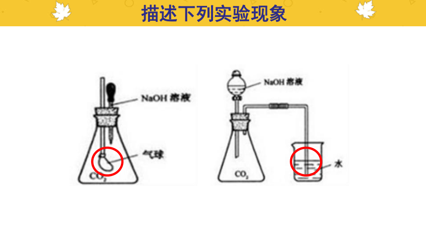 沪教版（上海）初中化学九年级下册 5.2 酸和碱的性质研究- 用实验证明CO2与NaOH发生了反应  课件（21张PPT）