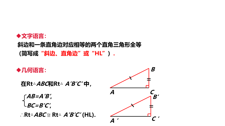 第1-2章  三角形的初步知识+特殊三角形   综合复习-----识别模型，描出模型 课件（19张ppt）