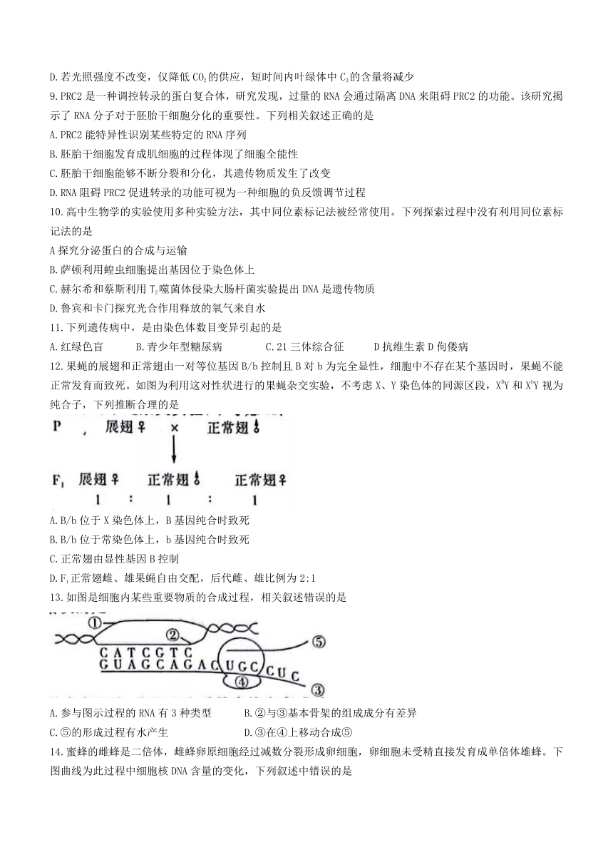 广西河池市2020-2021学年高二下学期期末教学质量检测生物试题 Word版含答案