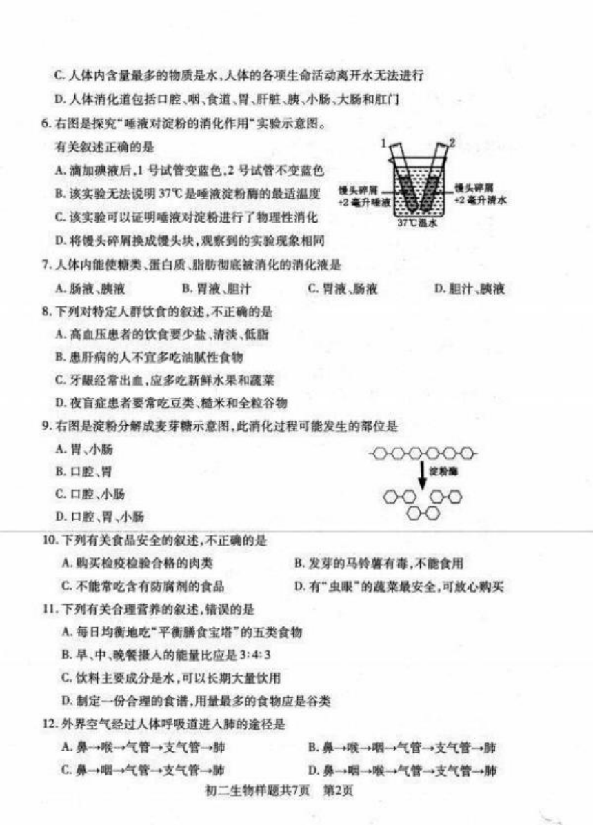 山东省泰安市泰山区2020-2021学年上学期期末考试七年级生物试题（pdf版含答案）