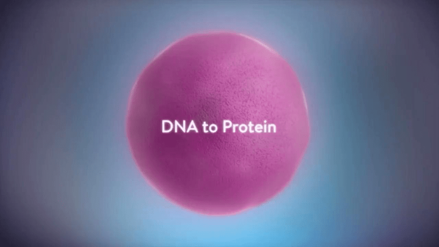 4.1 基因指导蛋白质的合成(共40张PPT2份视频)课件-人教版（2019）必修2