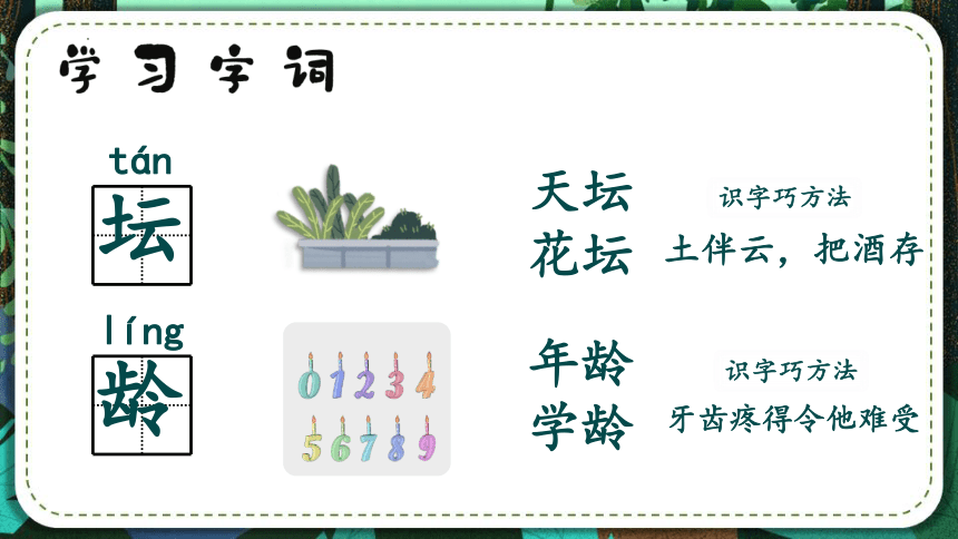 4.邓小平爷爷植树（第一课时）（课件）（31张）