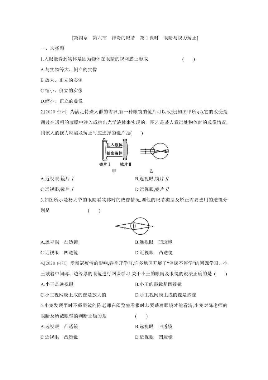 沪科版物理八年级上册课课练：4.6  神奇的眼睛　第1课时　眼睛与视力矫正（含答案）