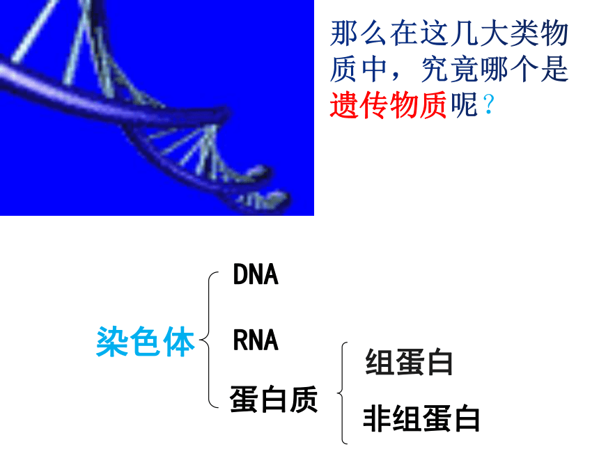 3.1核酸是遗传物质的证据  课件(共22张PPT，含1个视频) 2021-2022学年高一下学期生物浙科版必修2