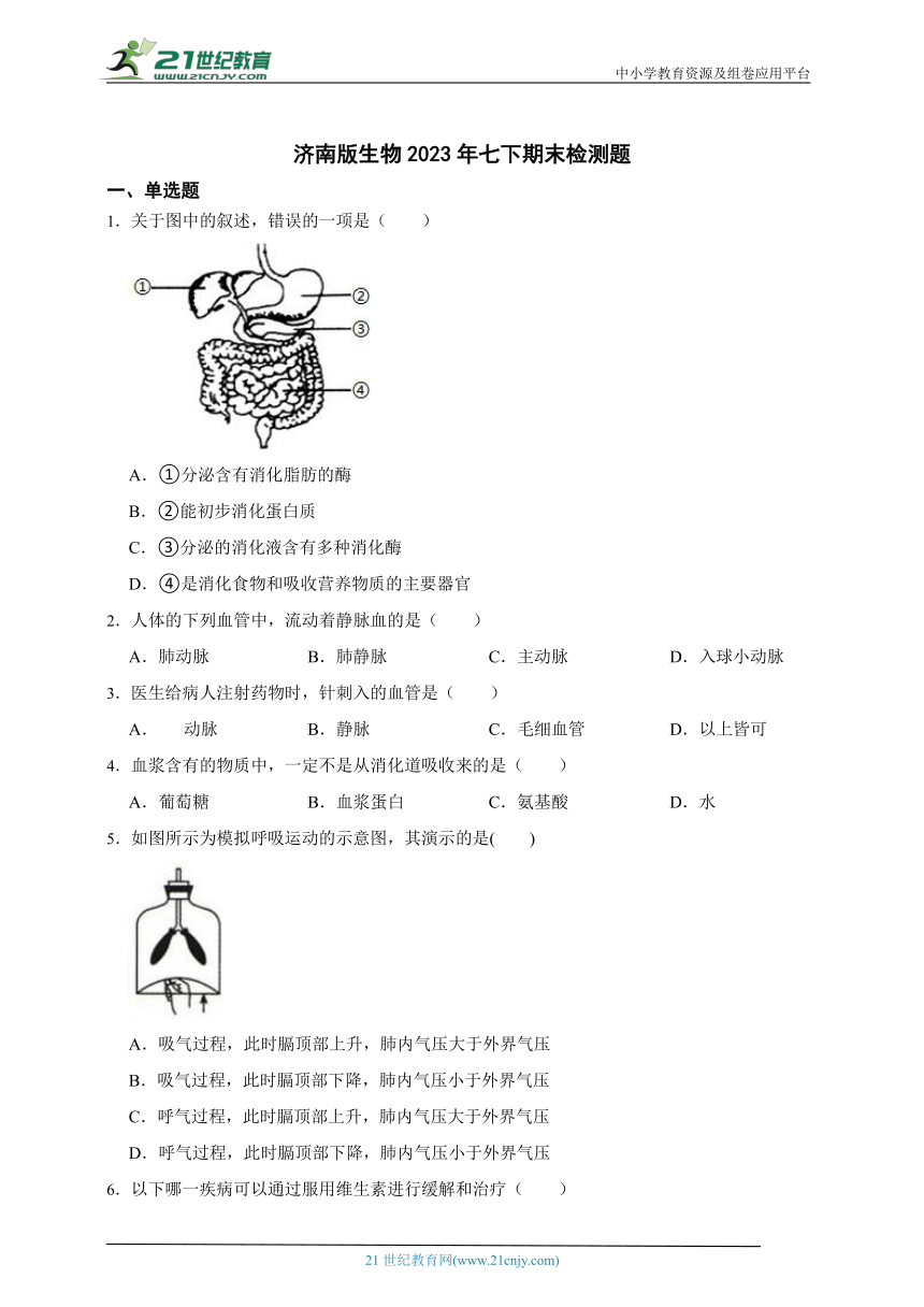 济南版生物2023年七下期末检测题（含解析）