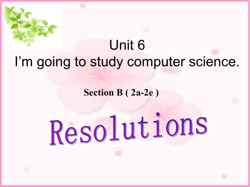 人教新目标Go For It!  八年级上册  Unit 6 I'm going to study computer science.  Section B ( 2a-2e )课件(共19张PPT)