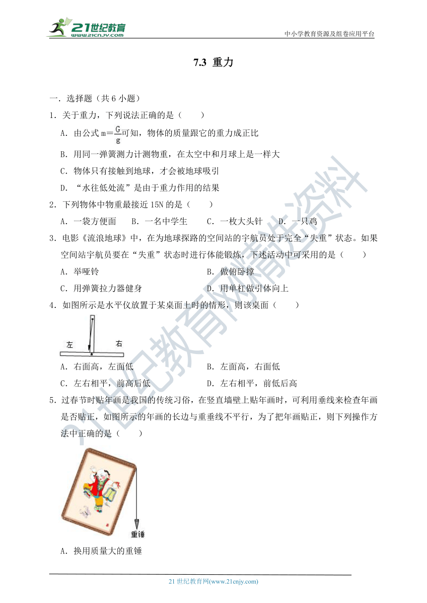 人教版八年级物理下册《7.3 重力》能力提升（含解析）