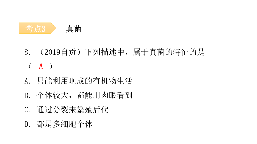 人教版生物八年级上册 第五单元 第四章 细菌和真菌章末总结课件（共39张PPT）